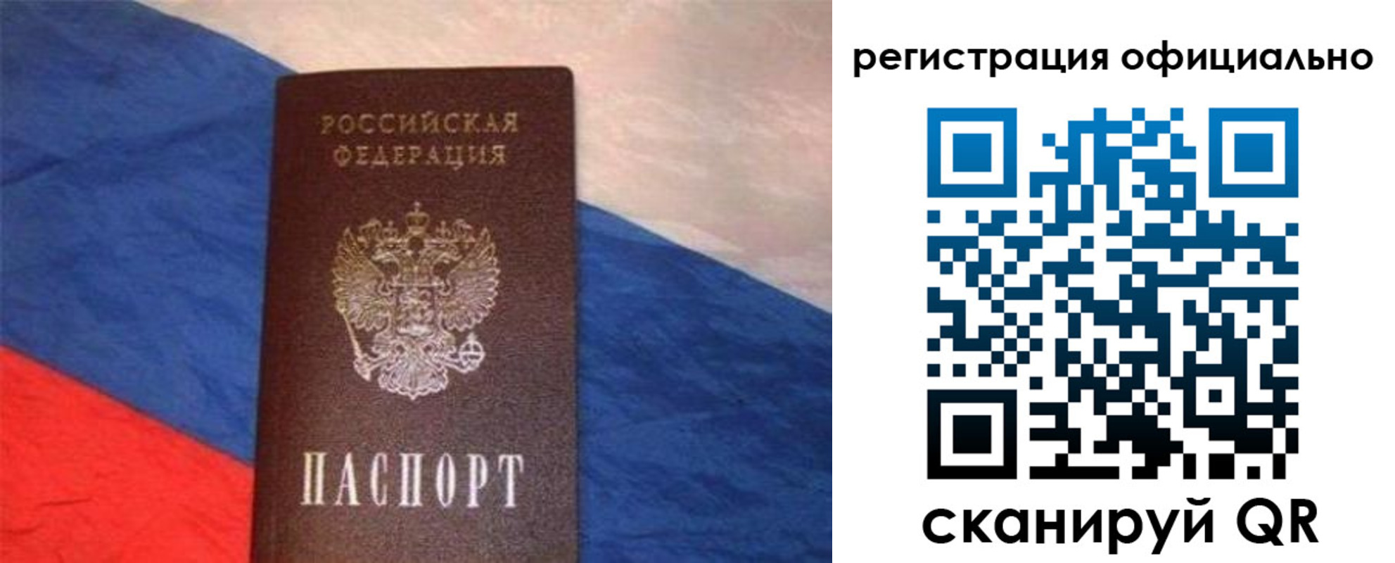 прописка поиск в Химках